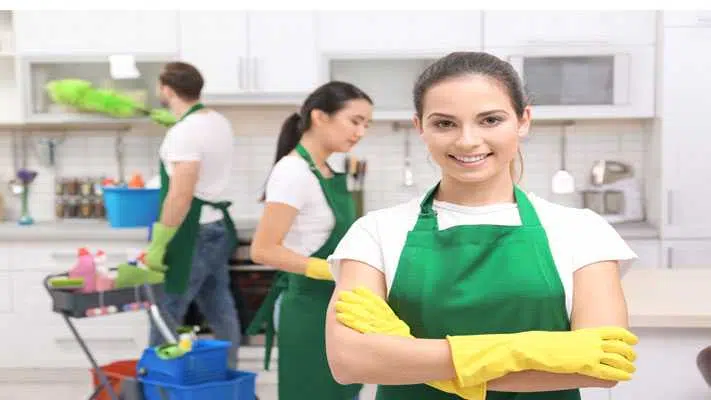 Why Opt For a Professional Housekeeping Service?